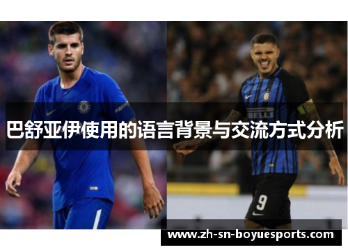 巴舒亚伊使用的语言背景与交流方式分析