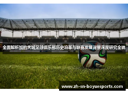 全面解析加的夫城足球俱乐部历史沿革与联赛发展背景深度研究全貌