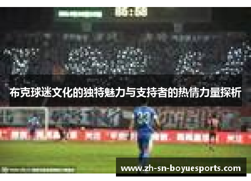 布克球迷文化的独特魅力与支持者的热情力量探析