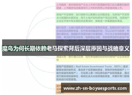魔鸟为何长期依赖老马探索背后深层原因与战略意义