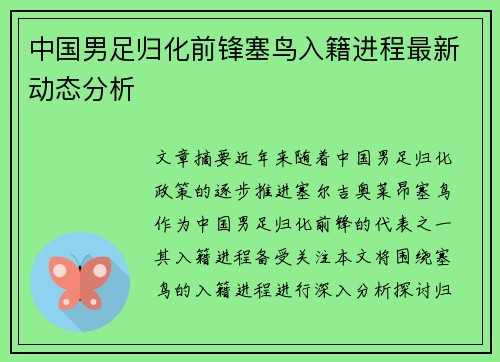 中国男足归化前锋塞鸟入籍进程最新动态分析